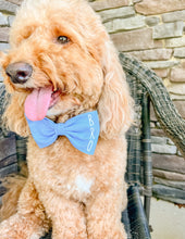 Load image into Gallery viewer, Big Brother/ Big Sister Circle Design dog bandana with soft macrame cord tie closure. Available with optional pom trim