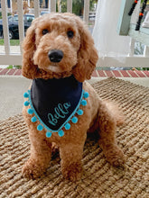 Load image into Gallery viewer, Totally Turquoise Sparkle Dog Bandana with Soft Macrame Cord Tie Closure- FREE PERSONALIZATION