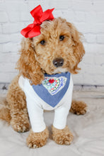 Load image into Gallery viewer, Choose Your State- All 50 States Available- Machine Applique Pet Bandana with Soft Macrame Cord Tie Closure