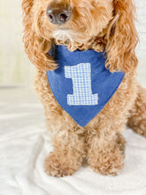 Load image into Gallery viewer, Happy Barkday Number Choice Dog Bandana with Macrame Cord Tie Closure