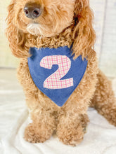 Load image into Gallery viewer, Happy Barkday Number Choice Dog Bandana with Macrame Cord Tie Closure