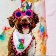 Load image into Gallery viewer, Machine Applique Birthday Dog Bandana with Soft Macrame Cord Tie Closure