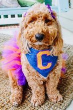 Load image into Gallery viewer, Varsity Letter Bandana on Denim