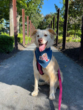Load image into Gallery viewer, Choose Your State- All 50 States Available- Machine Applique Pet Bandana with Soft Macrame Cord Tie Closure
