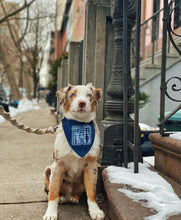 Load image into Gallery viewer, Choose Your Letter Machine Appliqué Dog Bandana with Soft Macrame Cord Tie Closure
