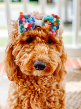 Load image into Gallery viewer, Pom Pom Birthday Bow- Available with Alligator hair clip, over the collar or elastic headband