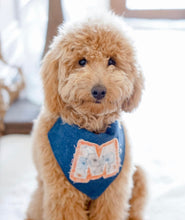 Load image into Gallery viewer, Choose Your Letter Machine Appliqué Dog Bandana with Soft Macrame Cord Tie Closure