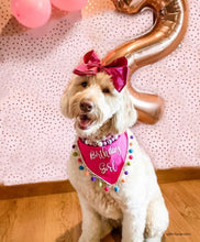 Load image into Gallery viewer, It's My Birthday Dog Bandana with Soft Macrame Cord Tie Closure