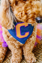 Load image into Gallery viewer, Varsity Letter Bandana on Denim