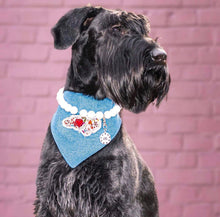 Load image into Gallery viewer, Choose Your State- All 50 States Available- Machine Applique Pet Bandana with Soft Macrame Cord Tie Closure