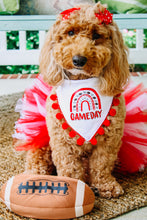 Load image into Gallery viewer, Gameday Rainbow Dog Bandana with Soft Macarame Cord Tie Closure. Several team choices plus a custom option