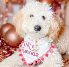 Load image into Gallery viewer, Instagram Milestone Dog Bandana- Choose Number of Followers- With Macrame Cord Tie Closure