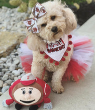 Load image into Gallery viewer, Gameday Rainbow Dog Bandana with Soft Macarame Cord Tie Closure. Several team choices plus a custom option