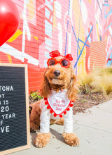 Load image into Gallery viewer, It's my Gotcha Day Dog Bandana with Soft Macrame Cord Tie Closure