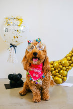 Load image into Gallery viewer, It's My Birthday Dog Bandana with Soft Macrame Cord Tie Closure