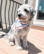 Load image into Gallery viewer, It's My Birthday Dog Bandana with Soft Macrame Cord Tie Closure