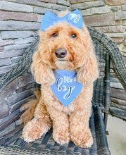 Load image into Gallery viewer, Gender Reveal dog bandana with soft macrame cord tie closure. I AM REVERSIBLE. It's a Girl on one side. It's a Boy on the other side