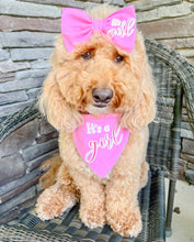 Load image into Gallery viewer, Gender Reveal dog bandana with soft macrame cord tie closure. I AM REVERSIBLE. It's a Girl on one side. It's a Boy on the other side
