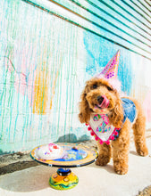 Load image into Gallery viewer, Machine Applique Birthday Dog Bandana with Soft Macrame Cord Tie Closure