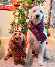 Load image into Gallery viewer, Flannel Adjustable Dog Scarf - 5 color choices FREE PERSONALIZATION
