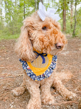 Load image into Gallery viewer, Wicker Pumpkin Embroidered bandana with soft macrame cord tie closure
