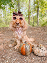 Load image into Gallery viewer, Pumpkin + Petals reversible dog bandana with soft macrame cord tie closure. Free Personalization available
