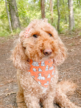 Load image into Gallery viewer, Boo + Bark reversible dog bandana with soft macrame cord tie closure. Free Personalization available
