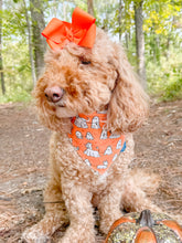 Load image into Gallery viewer, Boo + Bark reversible dog bandana with soft macrame cord tie closure. Free Personalization available
