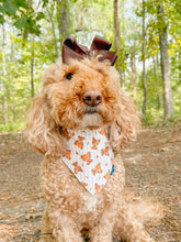 Load image into Gallery viewer, Bear-y Autumn reversible dog bandana with soft macrame cord tie closure. Free Personalization available

