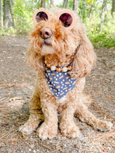 Load image into Gallery viewer, S'mores Treats reversible dog bandana with soft macrame cord tie closure. Free Personalization available
