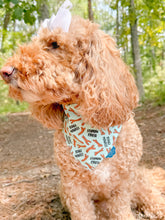 Load image into Gallery viewer, Autumn Operations reversible dog bandana with soft macrame cord tie closure. Free Personalization available
