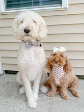 Load image into Gallery viewer, Pumpkin + Petals reversible dog bandana with soft macrame cord tie closure. Free Personalization available
