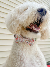 Load image into Gallery viewer, Fall 1 Cotton Prints Bow Tie made with Alligator hair clip or over the collar. Choose Design (2 sizes available)
