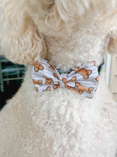 Load image into Gallery viewer, Fall 1 Cotton Prints Bow Tie made with Alligator hair clip or over the collar. Choose Design (2 sizes available)
