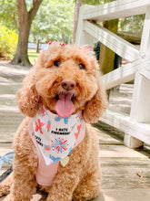 Load image into Gallery viewer, I hate fireworks reversible dog bandana with soft macrame cord tie closure. Free personalization
