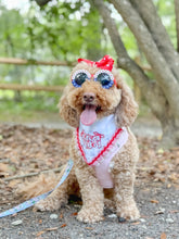 Load image into Gallery viewer, Liberty USA Applique dog bandana with soft macrame cord tie closure.
