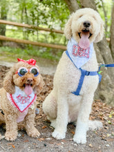 Load image into Gallery viewer, Liberty USA Applique dog bandana with soft macrame cord tie closure.
