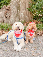Load image into Gallery viewer, Patriotic Pop dog bandana with soft macrame cord tie closure
