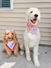 Load image into Gallery viewer, Rainbows and Hearts Reversible dog bandana with soft macrame cord tie closure available with or without red pom trim (look for matching hair bows)
