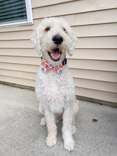 Load image into Gallery viewer, Colorful Hearts Bow Tie made with Alligator hair clip, over the collar or elastic headband (2 sizes available)
