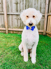 Load image into Gallery viewer, &quot;Bark-bie&quot; blue Bow Tie with embroidered beach ball feltie center made with Alligator hair clip, over the collar or elastic headband (2 sizes available)

