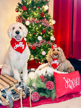 Load image into Gallery viewer, Jolly yarn design dog bandana with soft macrame cord tie closure
