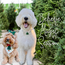 Load image into Gallery viewer, Ivory Corduroy Velvet Tree Applique Dog Bandana with Soft Macrame Cord Tie Closure (look for matching bow tie/ hair bow)
