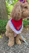 Load and play video in Gallery viewer, Americana Babe dog bandana with soft macrame cord tie closure
