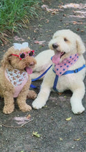 Load and play video in Gallery viewer, Freedom Teddy reversible dog bandana with soft macrame cord tie closure. Free personalization
