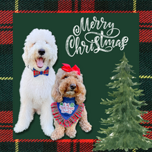 Load image into Gallery viewer, Denim and tartan Bow Tie made with Alligator hair clip, over the collar or elastic headband
