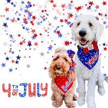 Load image into Gallery viewer, Red and white stars bow tie with with embroidered Happy Birthday America feltie center made with Alligator hair clip, over the collar or elastic headband (2 sizes available)
