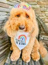 Load image into Gallery viewer, Always be kind rainbow design on white dog bandana 
