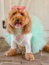Load image into Gallery viewer, Dusty Rose and Mint Tutu
