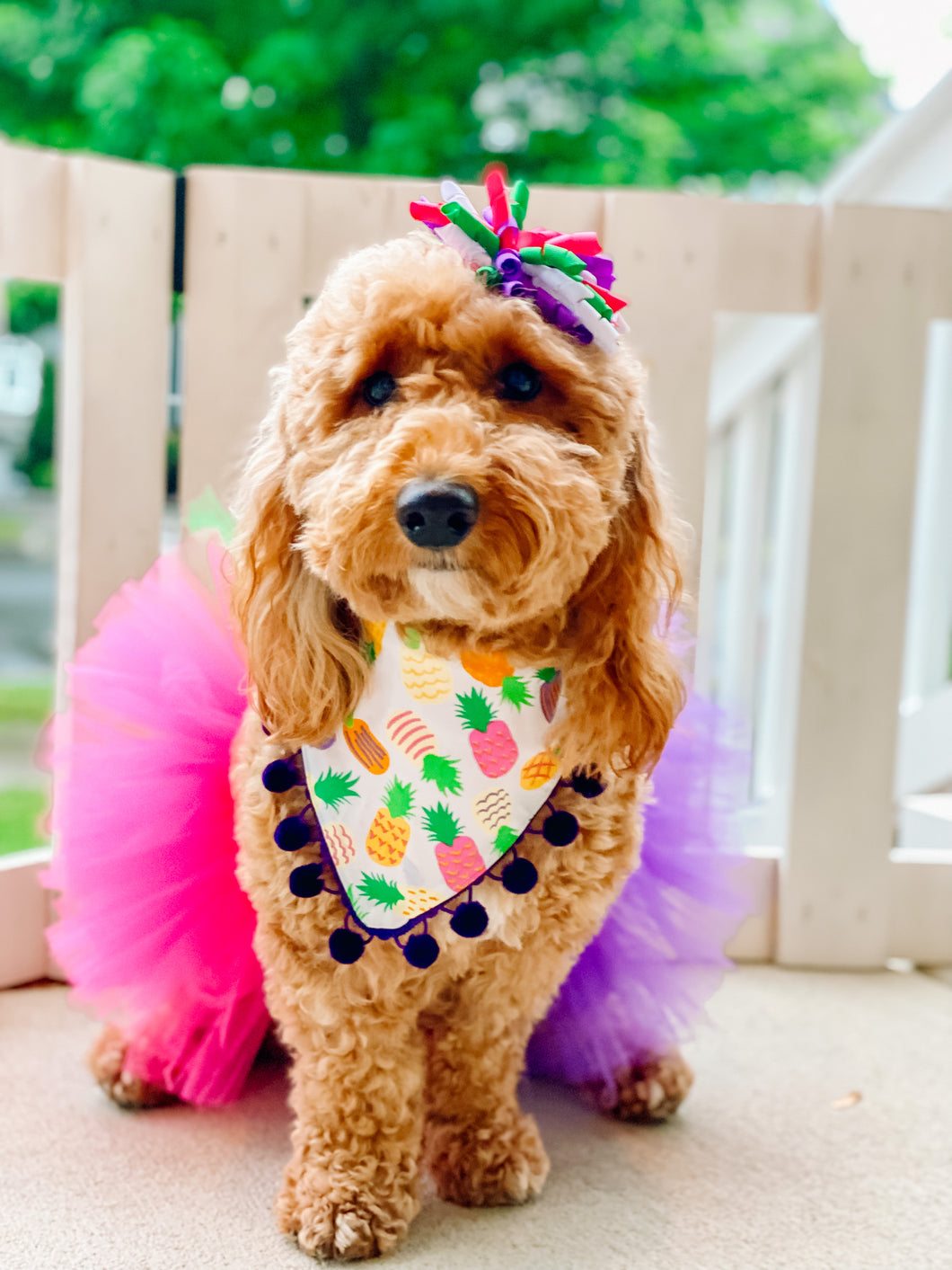 Create your own dog tutu- Choose from 20 tulle colors- Up to three colors per tutu